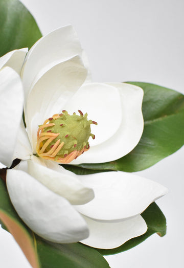 24" Faux Magnolia Blossom Stem