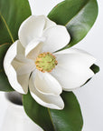24" Faux Magnolia Blossom Stem
