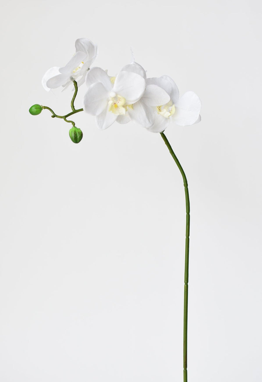 23.5" Faux White Orchid Stem