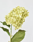 28" Faux Cone Hydrangea Stem Green