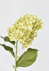 28 inch faux green cone hydrangea stem