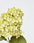 28" Faux Cone Hydrangea Stem Green
