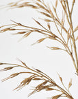 34" Faux Beige Wild Wheat Stem