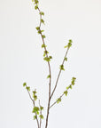 40" Faux Budding Branch Stem