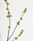 40" Faux Budding Branch Stem