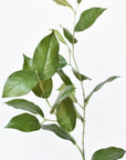 36" Faux Lemon Leaf Branch Stem