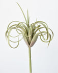8" Faux Green/Gray Tillandsia Succulent Pick