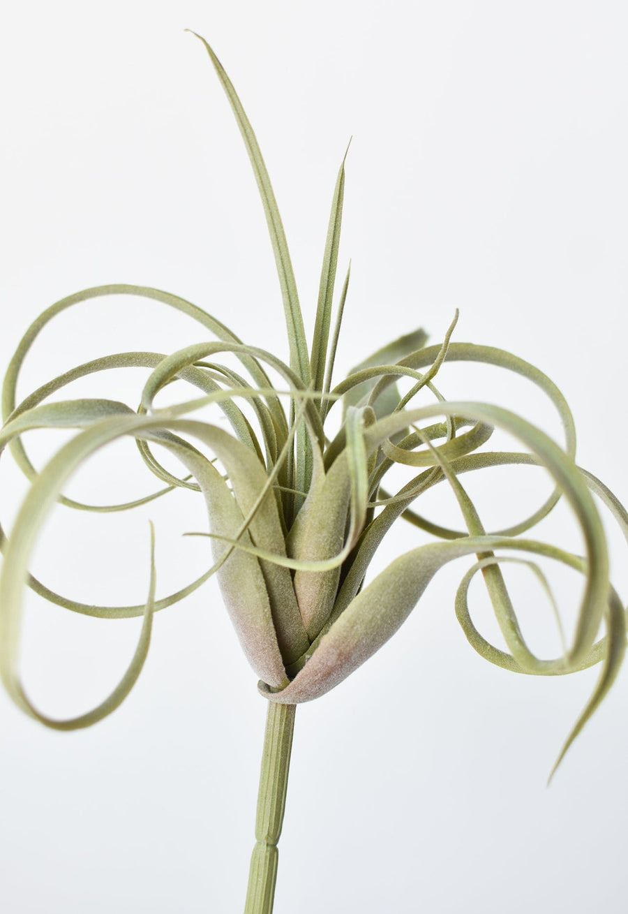 8" Faux Green/Gray Tillandsia Succulent Pick