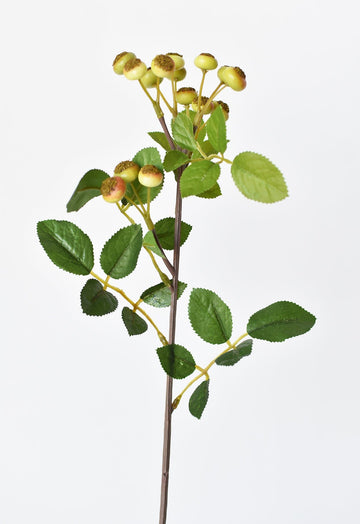 23" Faux Rosehip Berry Stem