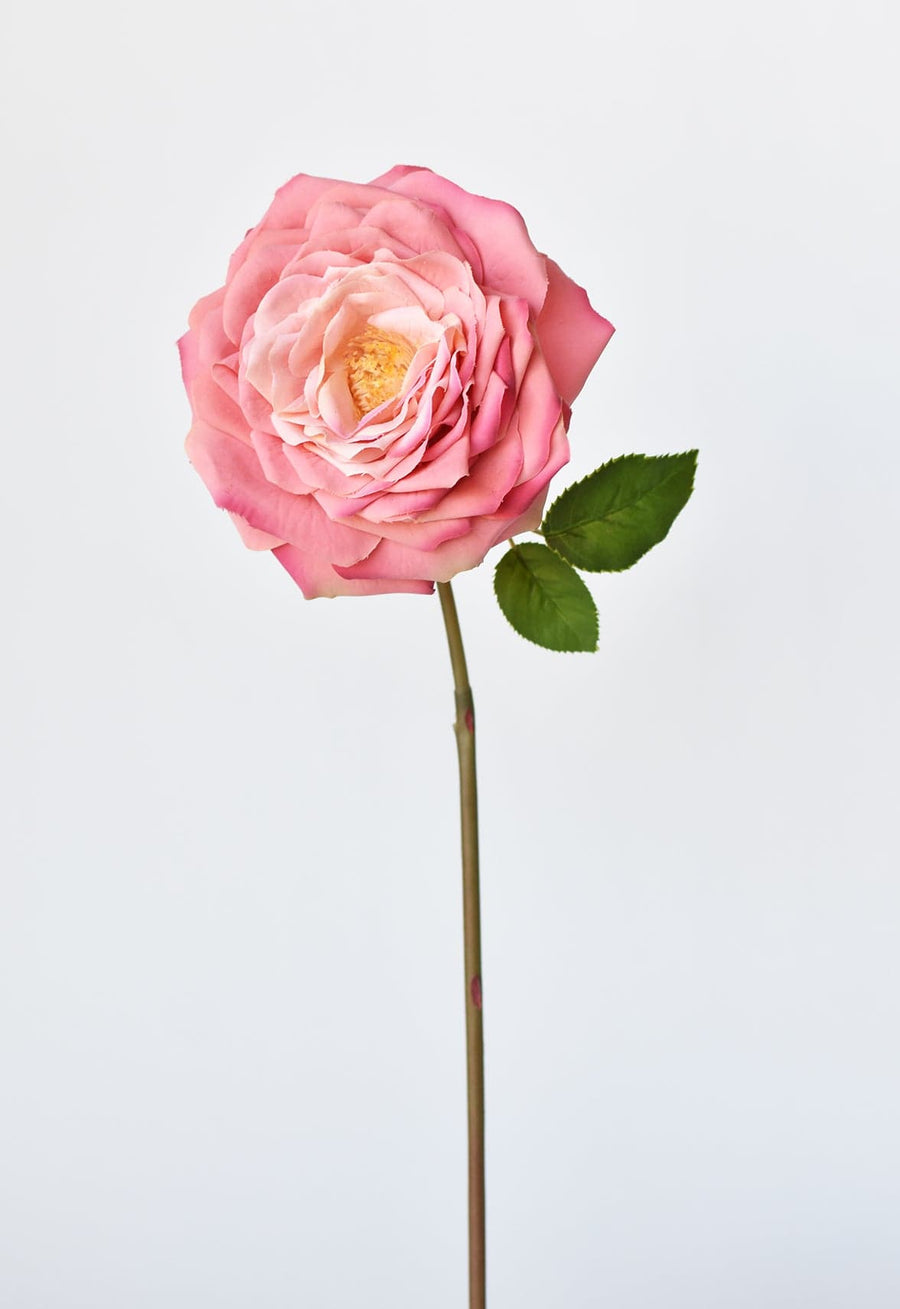 20" Faux Two-Toned Pink Cabbage Rose Stem
