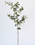 40" Faux Eucalyptus Stem