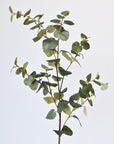 40" Faux Eucalyptus Stem