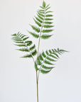 33" Faux Forest Fern Spray