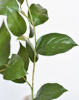 36" Faux Lemon Leaf Branch Stem
