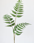 33" Faux Forest Fern Spray