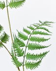 33" Faux Forest Fern Spray