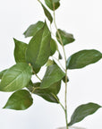 36" Faux Lemon Leaf Branch Stem