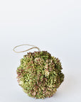 4" Faux Green Sedum Ball