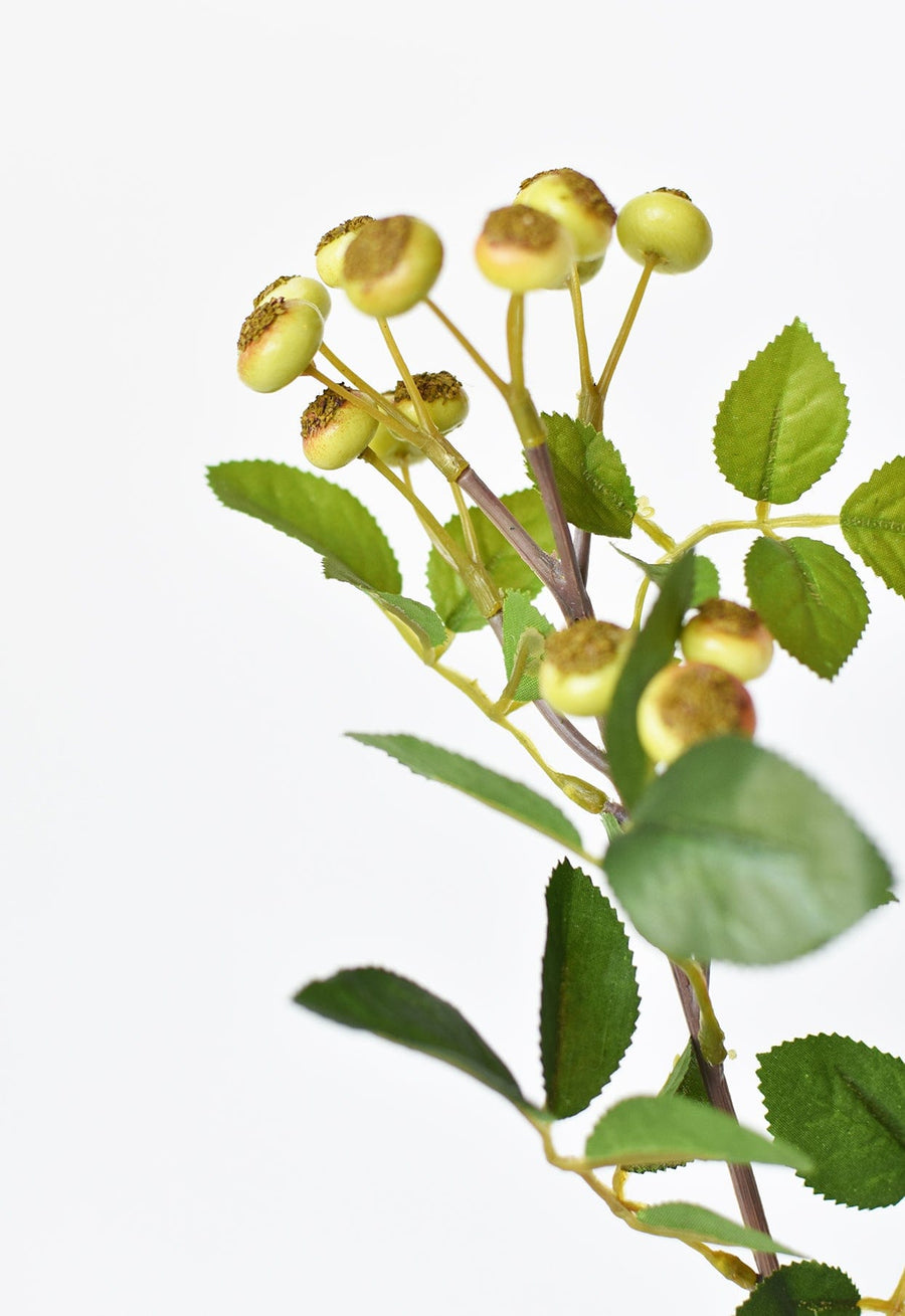 23" Faux Rosehip Berry Stem