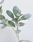 28" Faux Lambs Ear Leaf Stem