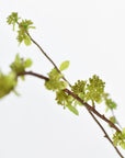 40" Faux Budding Branch Stem