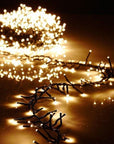 LED Connectable Warm White Cluster Light Garland, w/Timer and Remote