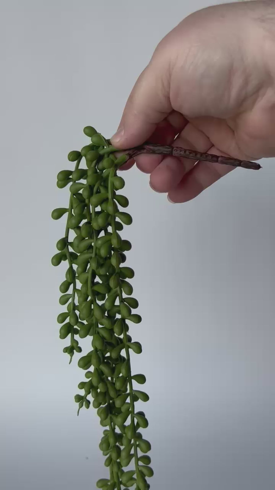 28" Faux String of Pearl Succulent Stem