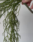 24" Faux Pencil Cactus Hanging Succulent Bush