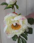 22.5" Faux Peony Stem w/Bud Cream White/Soft Pink