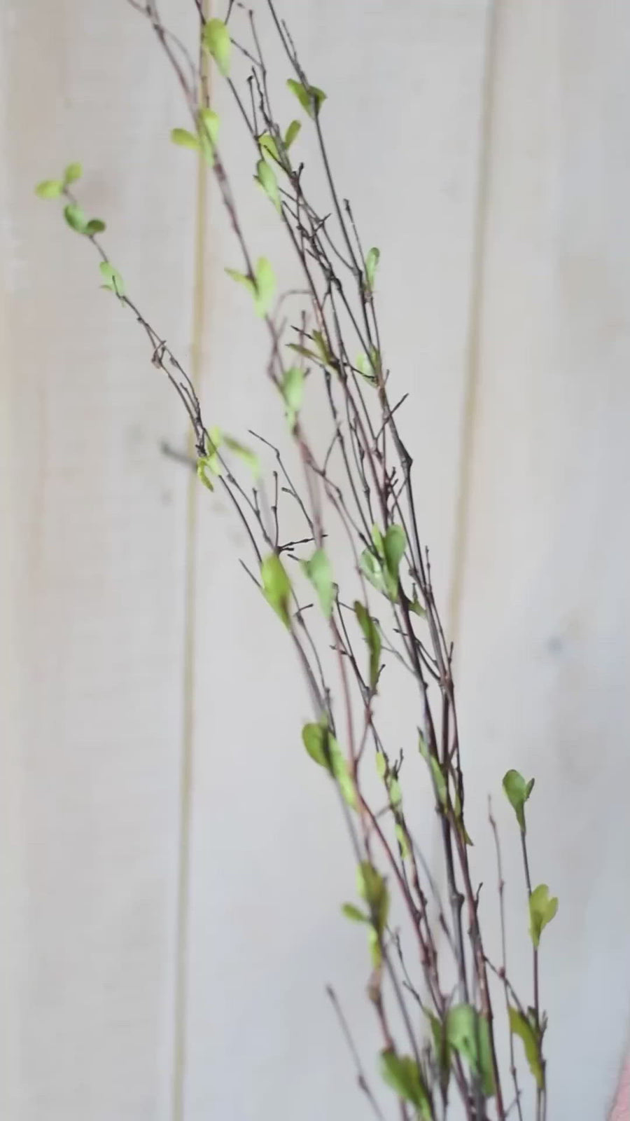 26" Branches with Faux Green Leaves