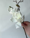 19" Faux Magnolia Stem White