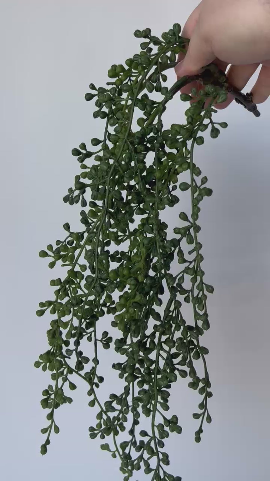27" Faux String of Pearls Succulent Stem