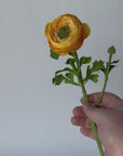 13" Faux Yellow Gold Ranunculus Stem