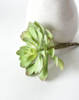 6" Faux Soft Aeonium Succulent Pick