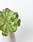 6" Faux Soft Aeonium Succulent Pick