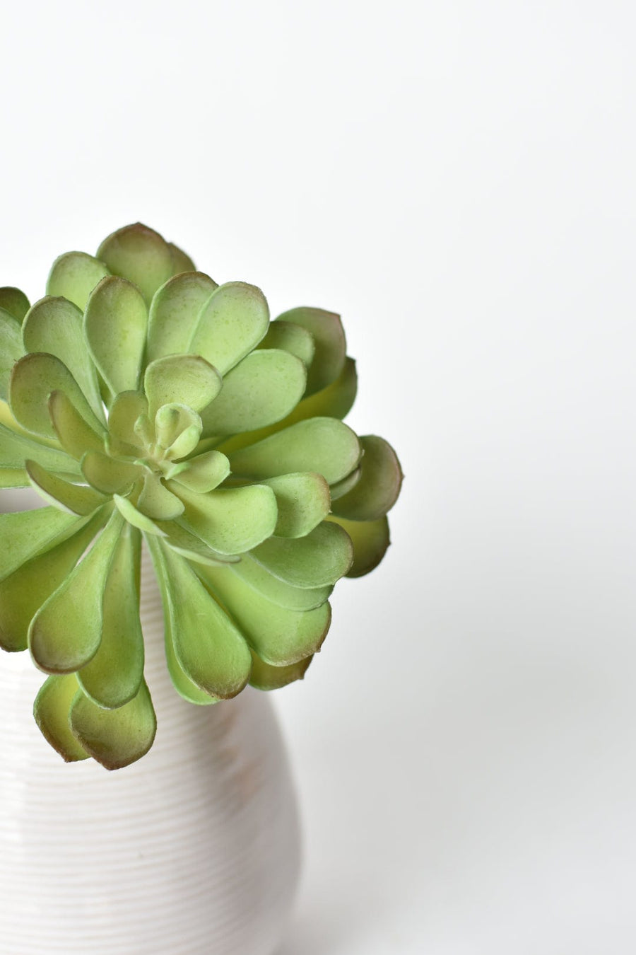 6" Faux Soft Aeonium Succulent Pick