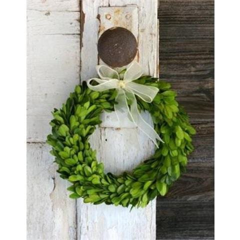 9.75" Mini Preserved Boxwood Wreath