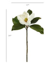 24" Faux Magnolia Blossom Stem